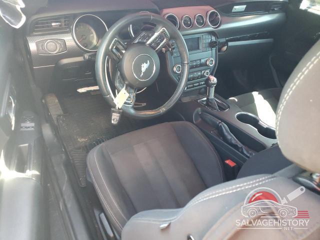 1FA6P8TH3K5203885 2019 FORD ALL Models photo no. 8