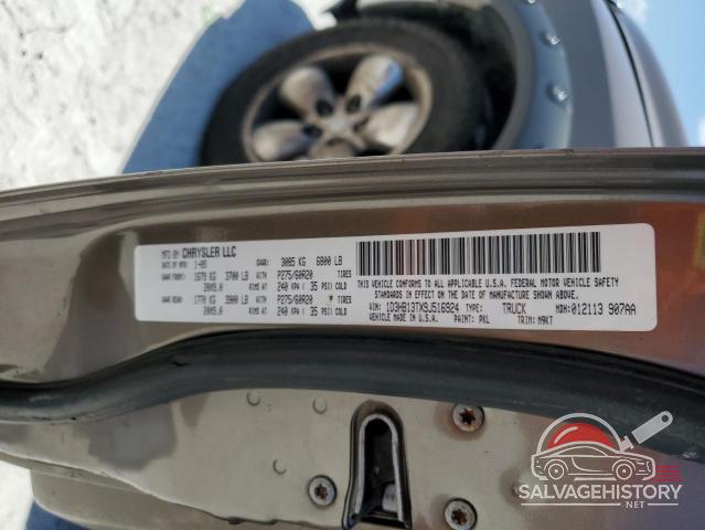 1D3HB13TX9J516924 2009 DODGE All Models photo no. 12