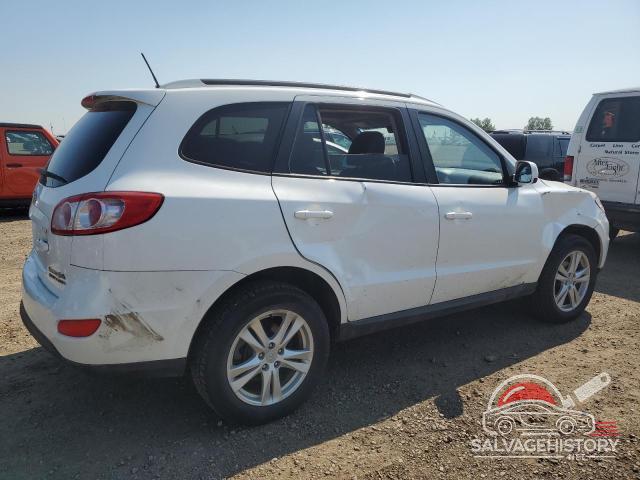 5NMSGDAG8AH406973 2010 HYUNDAI SANTA FE photo no. 3