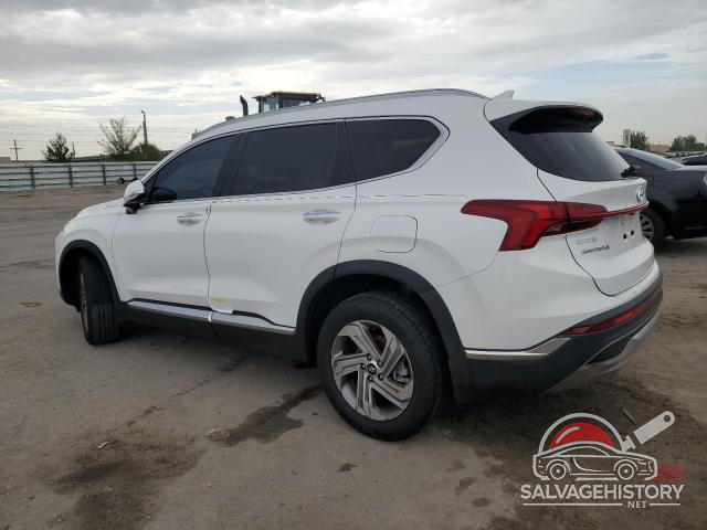 5NMS34AJ4PH551900 2023 HYUNDAI SANTA FE photo no. 2