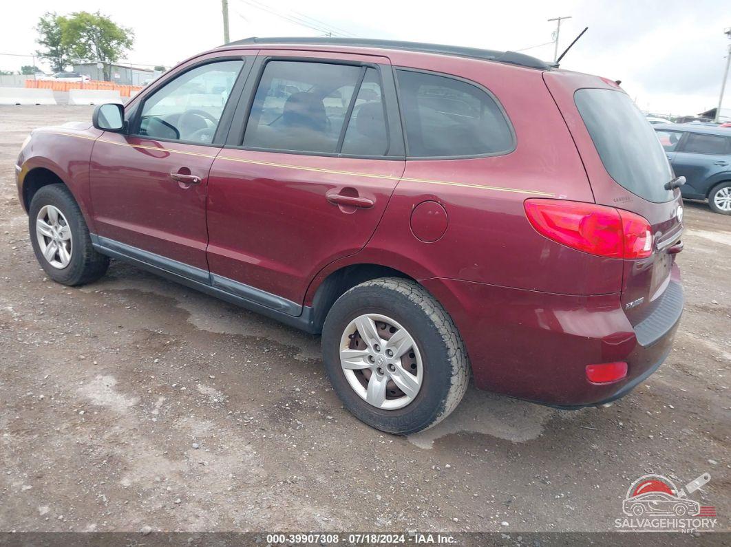 5NMSG13D89H229550 2009 HYUNDAI SANTA FE photo no. 3