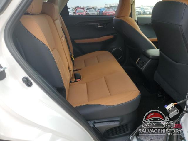 JTJYARBZ1K2135976 2019 LEXUS NX photo no. 10