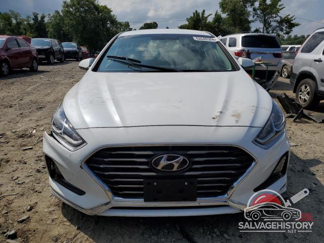 5NPE24AF4KH766376 2019 HYUNDAI SONATA photo no. 5