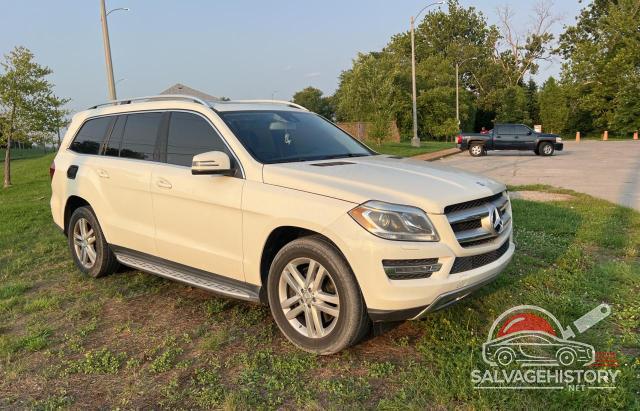 4JGDF7CE4DA167019 2013 MERCEDES-BENZ GL-CLASS photo no. 14
