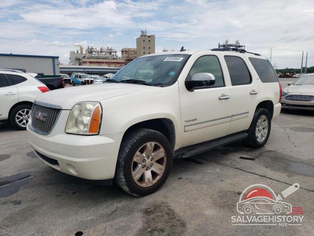 1GKFC33069R301996 2009 GMC YUKON photo no. 13