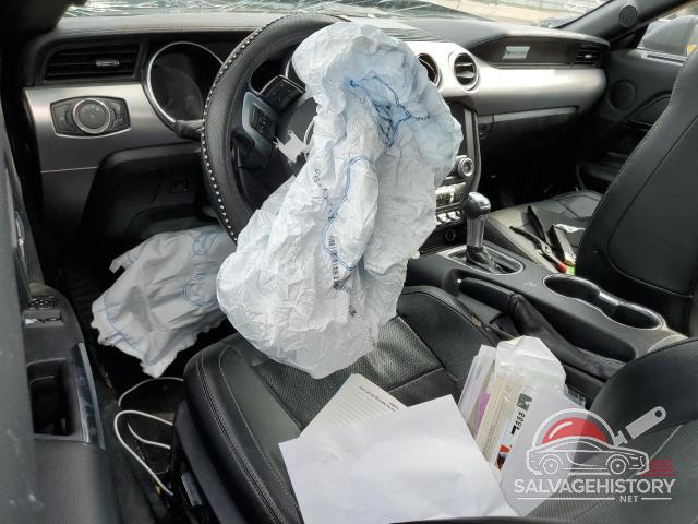 1FA6P8TH1K5172071 2019 FORD ALL Models photo no. 8