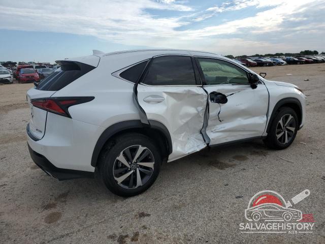 JTJYARBZ1K2135976 2019 LEXUS NX photo no. 3