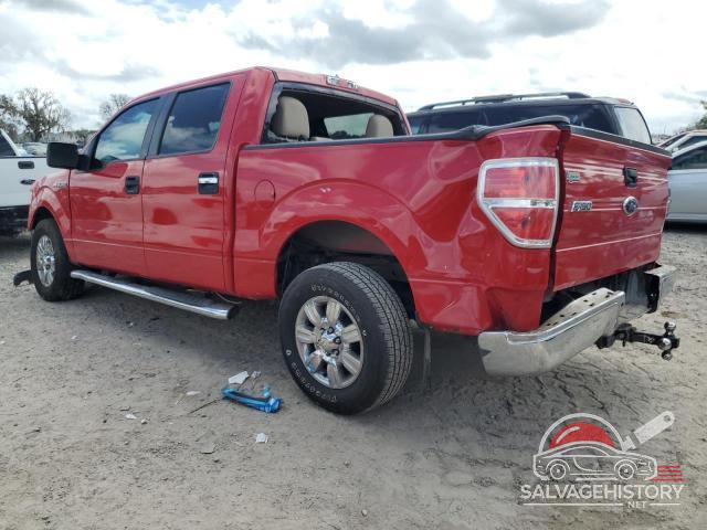 1FTEW1C83AFD49504 2010 FORD F-150 photo no. 2