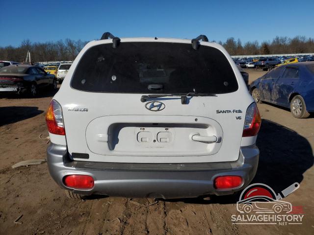 KM8SC13D93U411202 2003 HYUNDAI SANTA FE photo no. 6