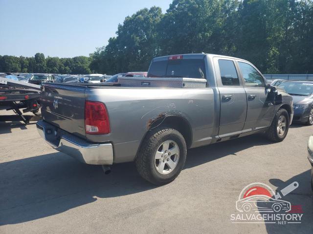 1D7RB1GP7AS109223 2010 DODGE All Models photo no. 3