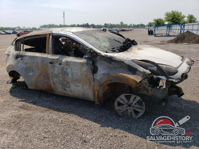 KNDPM3AC6K7564212 2019 KIA SPORTAGE photo no. 4