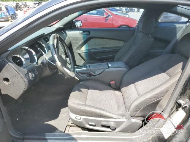 1ZVBP8AM5D5206277 2013 FORD ALL Models photo no. 7