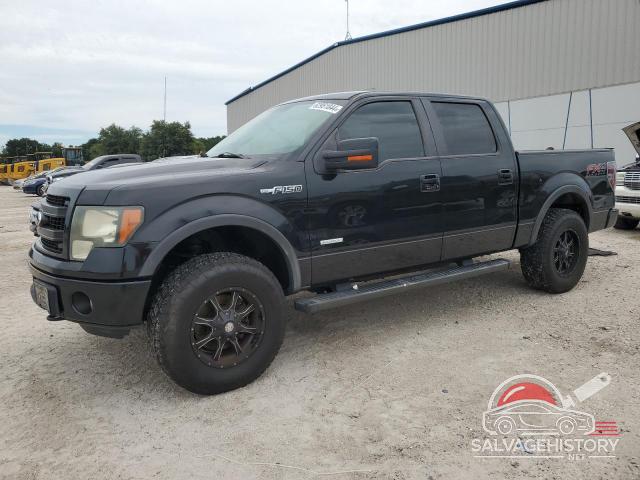 1FTFW1ET8DFB06975 2013 FORD F-150 photo no. 20
