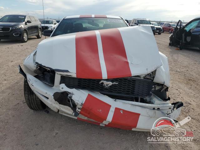 1ZVFT80N465160435 2006 FORD ALL Models photo no. 5