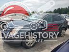 3GYFNAEY5AS647210 2010 CADILLAC SRX LUXURY photo no. 1