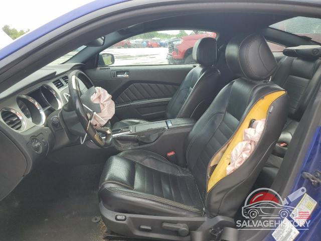 1ZVBP8AM6D5235691 2013 FORD ALL Models photo no. 7