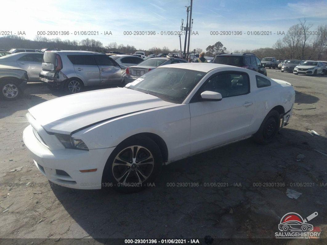 1ZVBP8AM1D5264791 2013 FORD MUSTANG photo no. 2
