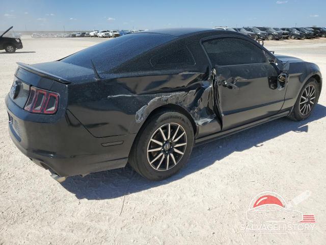 1ZVBP8AM8D5226846 2013 FORD ALL Models photo no. 3