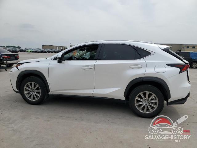 JTJYARBZ4K2155445 2019 LEXUS NX photo no. 2