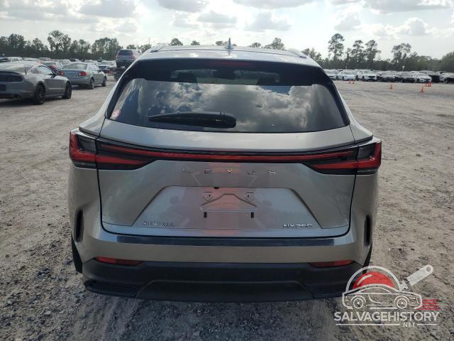 2T2ADCAZ2PC004666 2023 LEXUS NX 250 photo no. 6