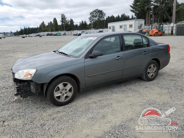 1G1ZT54804F135812 2004 CHEVROLET MALIBU photo no. 6