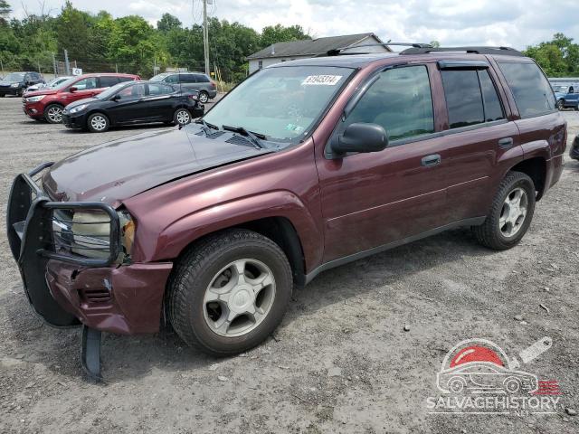 1GNDT13SX62360974 2006 CHEVROLET TRAILBLZR photo no. 16