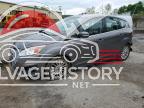 1FADP5BU0DL519408 2013 FORD C-MAX SEL photo no. 1