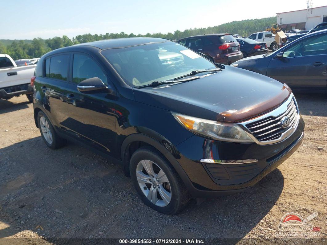 KNDPB3A24D7533427 2013 KIA SPORTAGE photo no. 12