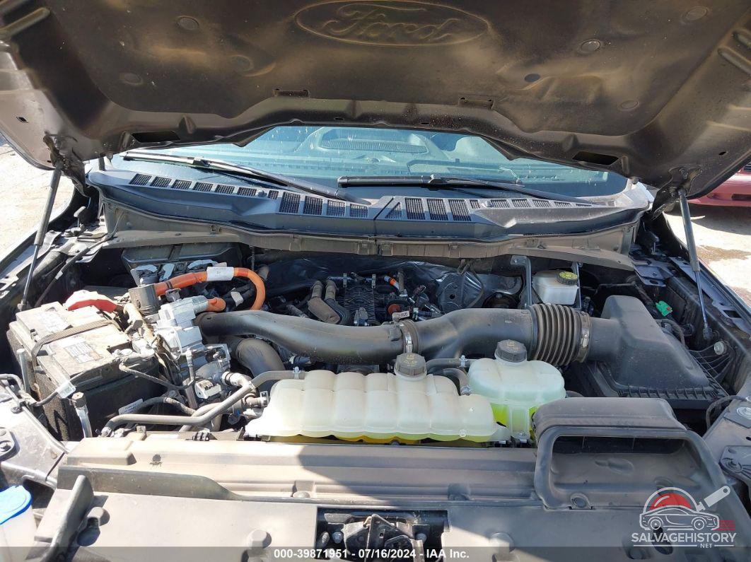1FTFW3LD6RFA26816 2024 FORD F150 photo no. 10