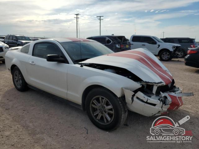 1ZVFT80N465160435 2006 FORD ALL Models photo no. 4