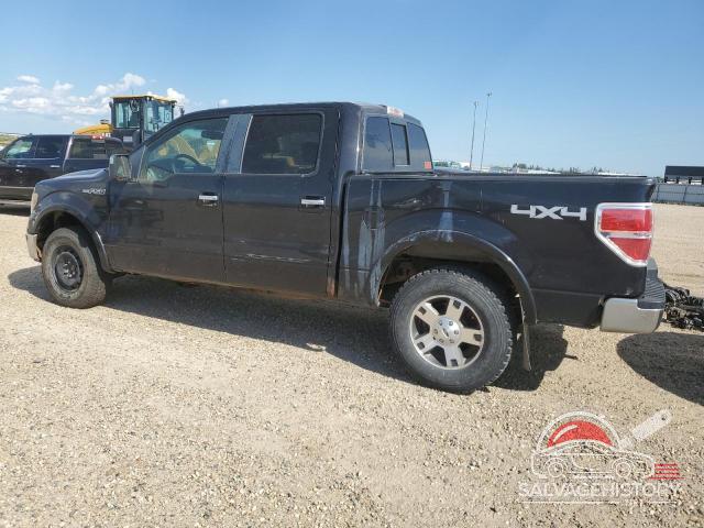 1FTFW1EV3AFC08424 2010 FORD F-150 photo no. 2