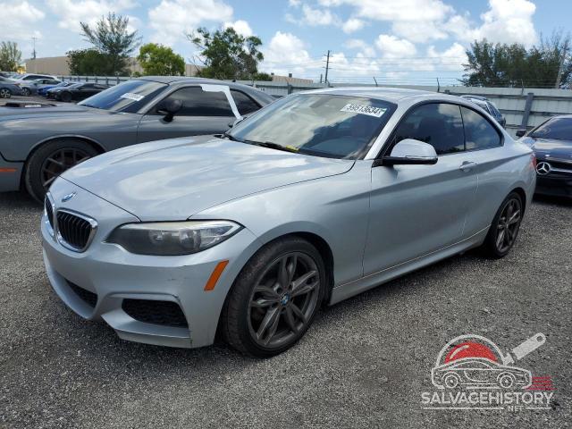 WBA1F9C53GV546509 2016 BMW 2 SERIES photo no. 3