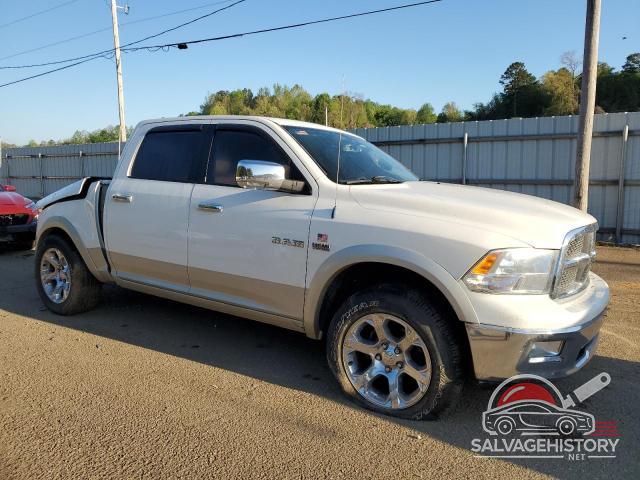 1D3HV13T89J521742 2009 DODGE All Models photo no. 4