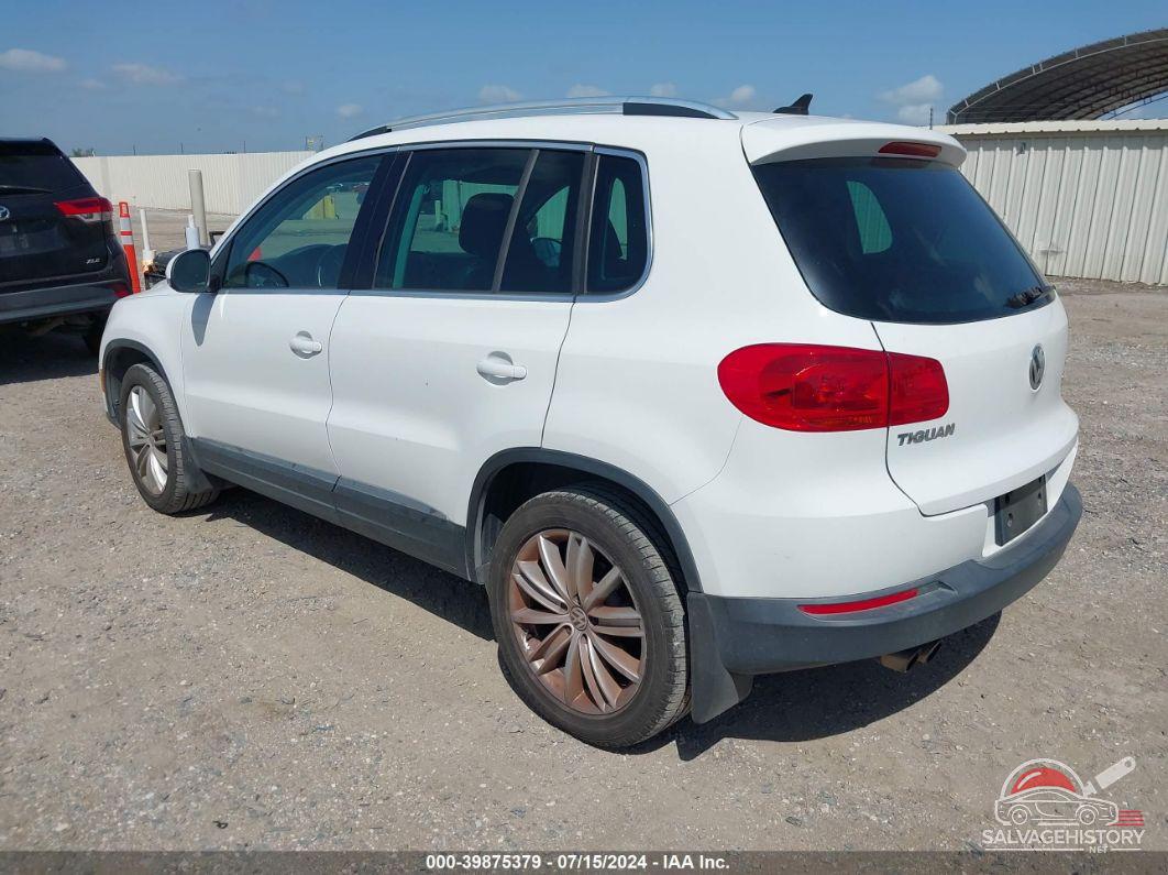 WVGBV3AX9DW607469 2013 VOLKSWAGEN TIGUAN photo no. 3