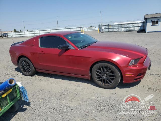 1ZVBP8AM3E5271386 2014 FORD ALL Models photo no. 4