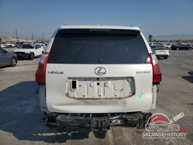 JTJBM7FX2A5008791 2010 LEXUS GX photo no. 6