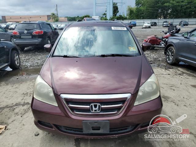 5FNRL38427B074152 2007 HONDA All Models photo no. 5