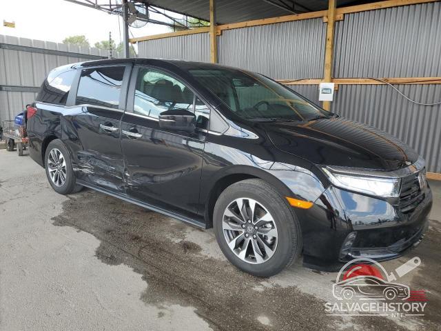 5FNRL6H67RB049026 2024 HONDA All Models photo no. 4