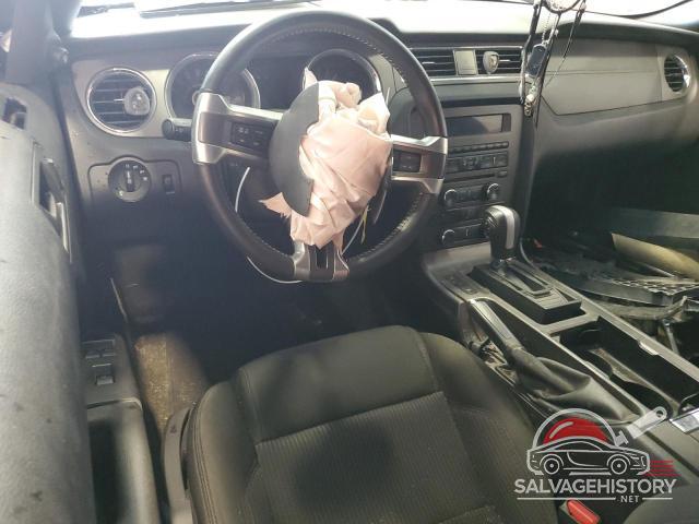 1ZVBP8FF1D5272495 2013 FORD MUSTANG photo no. 8