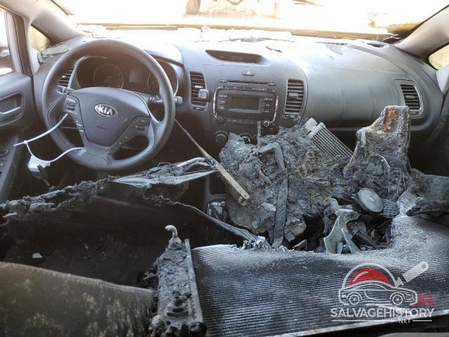 3KPFK4A75HE019055 2017 KIA FORTE photo no. 8