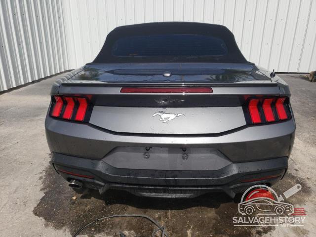 1FAGP8UHXR5133668 2024 FORD ALL Models photo no. 6