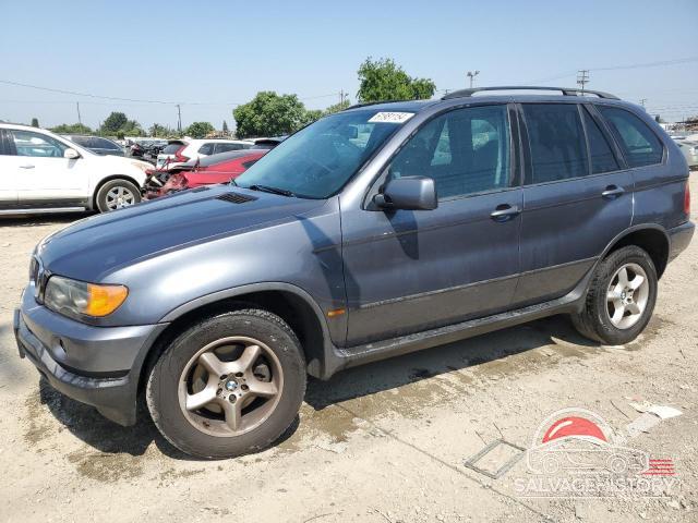 5UXFA53573LV73913 2003 BMW X5 photo no. 19