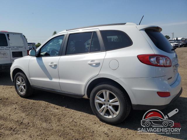 5NMSGDAG8AH406973 2010 HYUNDAI SANTA FE photo no. 2