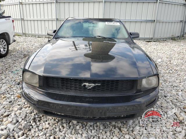 1ZVFT80N675358970 2007 FORD ALL Models photo no. 5