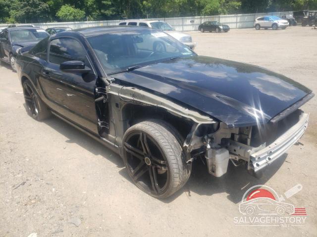 1ZVBP8AM1E5289465 2014 FORD ALL Models photo no. 4