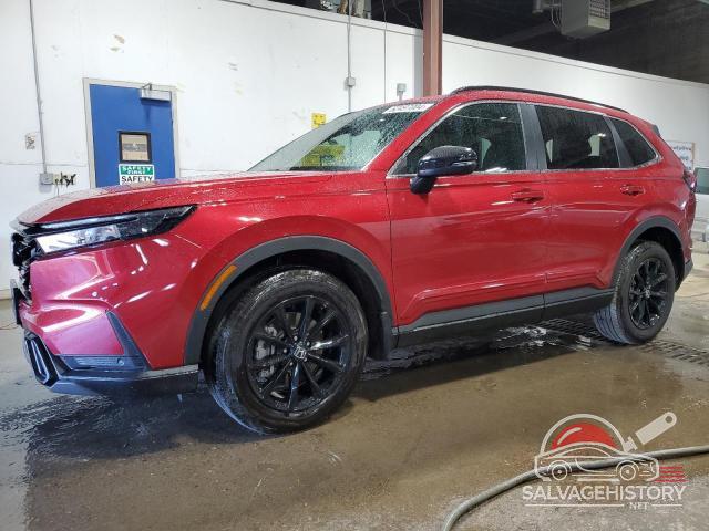 5J6RS6H80RL003923 2024 HONDA CRV photo no. 7