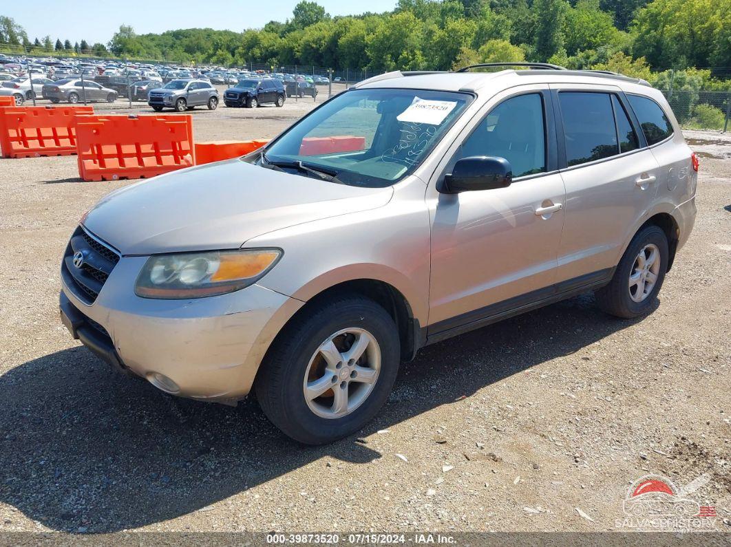 5NMSG13D47H040827 2007 HYUNDAI SANTA FE photo no. 2