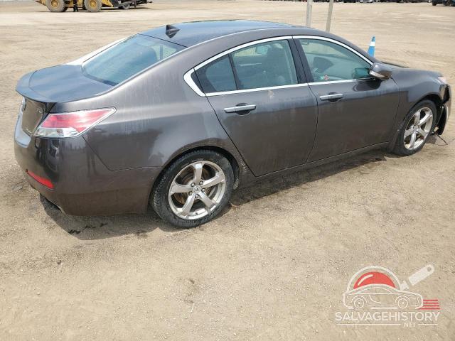 19UUA96579A801863 2009 ACURA TL photo no. 3