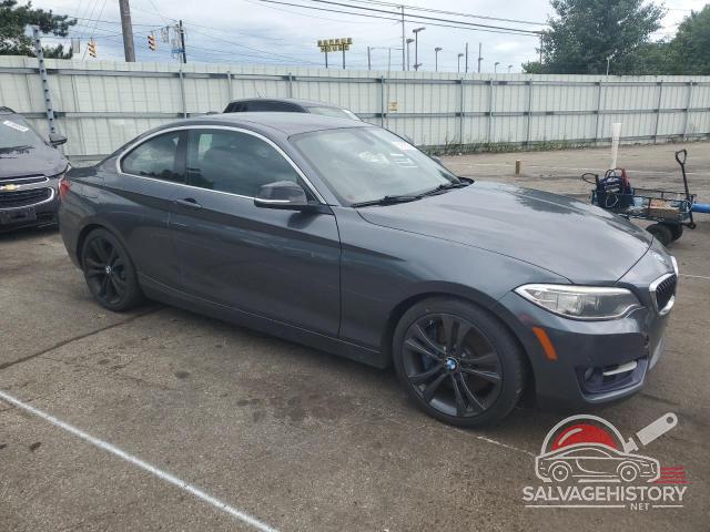 WBA1G9C51FVX96424 2015 BMW 2 SERIES photo no. 4