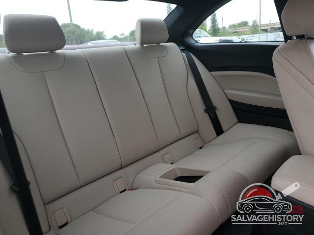 WBA1F5C5XGV344047 2016 BMW 2 SERIES photo no. 10